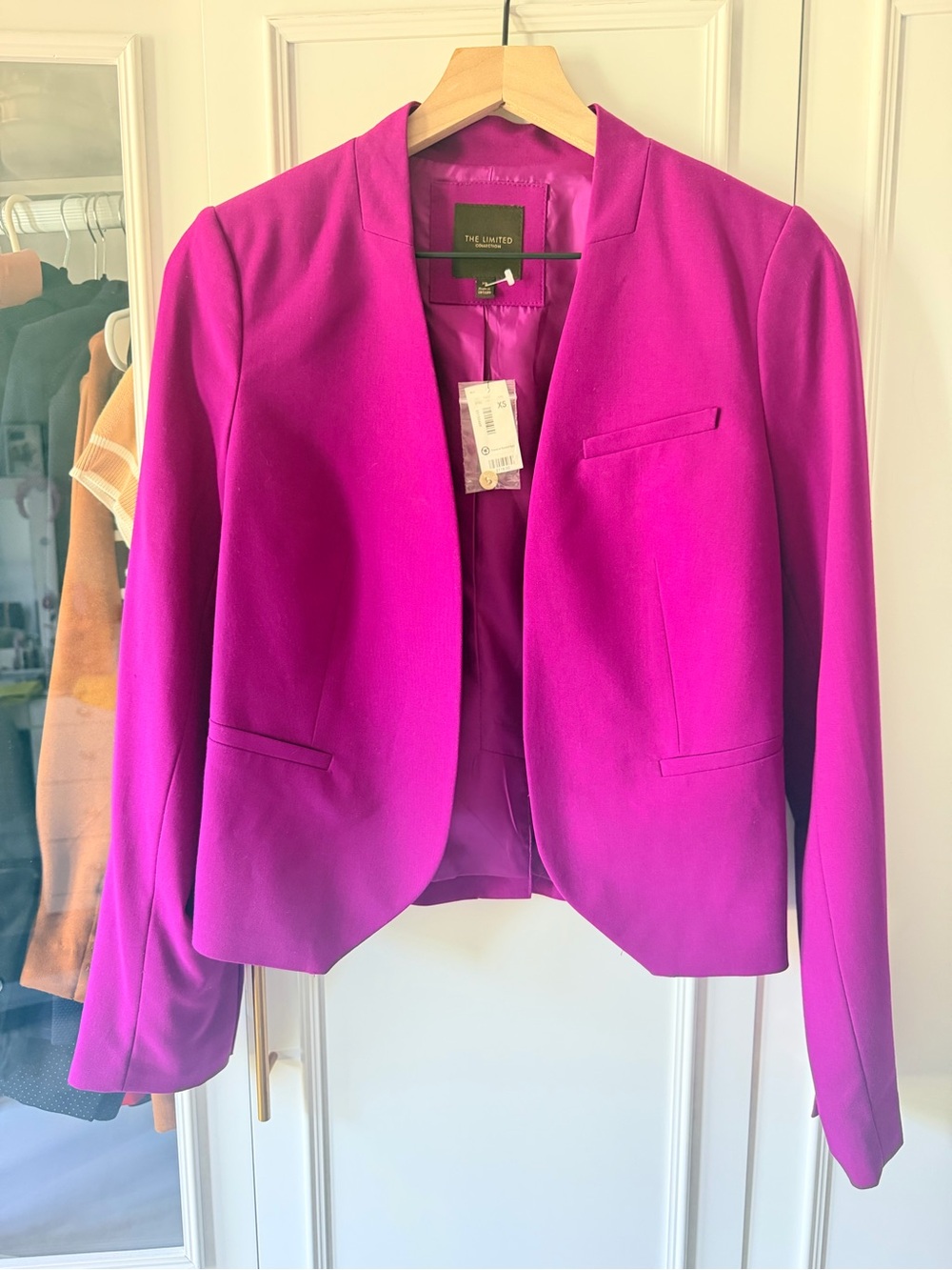 The Limited Women's magenta Blazer